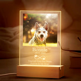Persoanlized Pet Memorial Acrylic Night Light with Custom Photo and Text