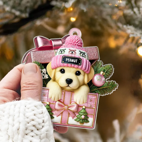 Cute Labrador Dog Inside Gift Box Custom 2D Flat Acrylic Christmas Pet Ornament