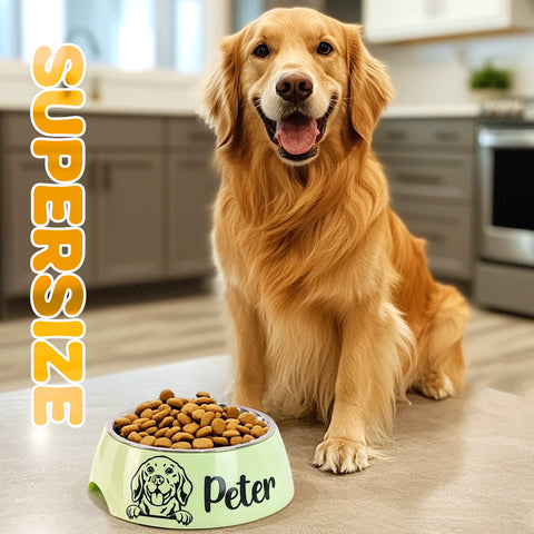 Custom Stainless Steel Pet Bowl with Name