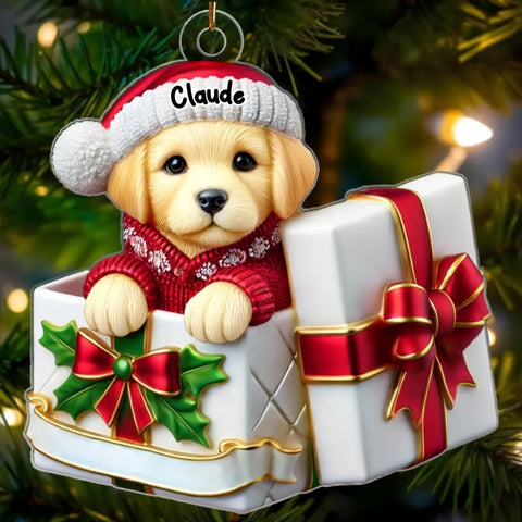 Cute Labrador Dog Inside Gift Box Custom 2D Flat Acrylic Christmas Ornament 2025
