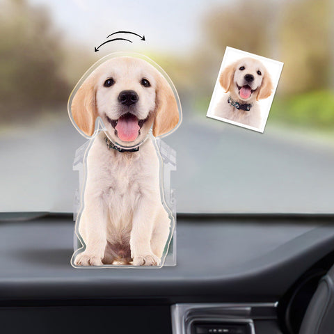 Custom Pet Photo Bobblehead Car Decor Your Lucky Co-Pilot