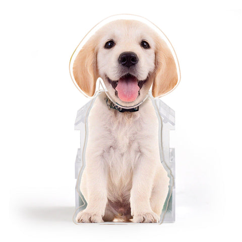 Custom Pet Photo Bobblehead Car Decor Your Lucky Co-Pilot