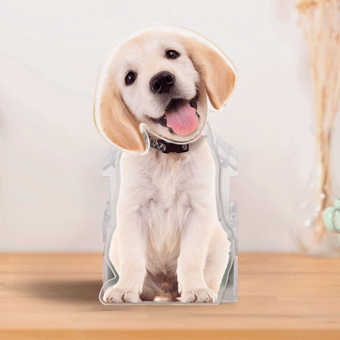 Custom Pet Photo Bobblehead Car Decor Your Lucky Co-Pilot
