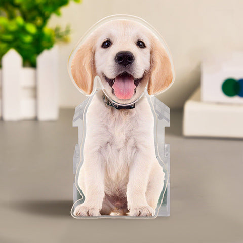 Custom Pet Photo Bobblehead Car Decor Your Lucky Co-Pilot