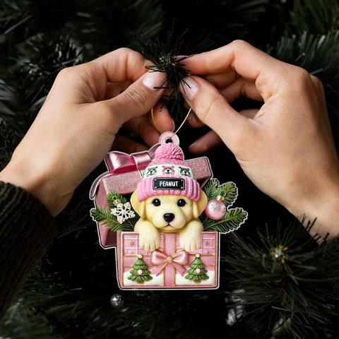 Cute Labrador Dog Inside Gift Box Custom 2D Flat Acrylic Christmas Pet Ornament