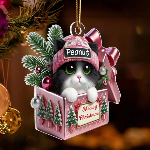Cute Cat Inside Gift Box Custom 2D Flat Acrylic Christmas Ornament