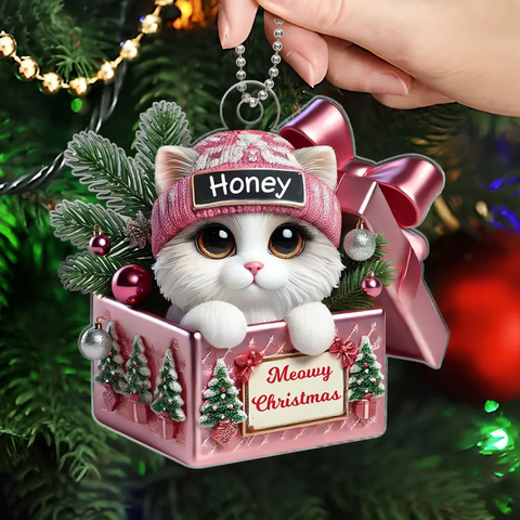 Cute Cat Inside Gift Box Custom 2D Flat Acrylic Christmas Ornament