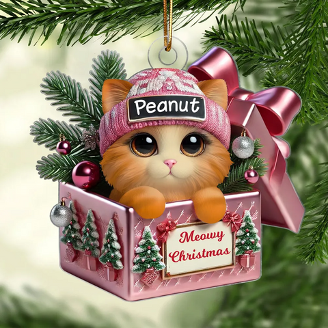 Cute Cat Inside Gift Box Custom 2D Flat Acrylic Christmas Ornament