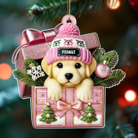 Cute Labrador Dog Inside Gift Box Custom 2D Flat Acrylic Christmas Pet Ornament