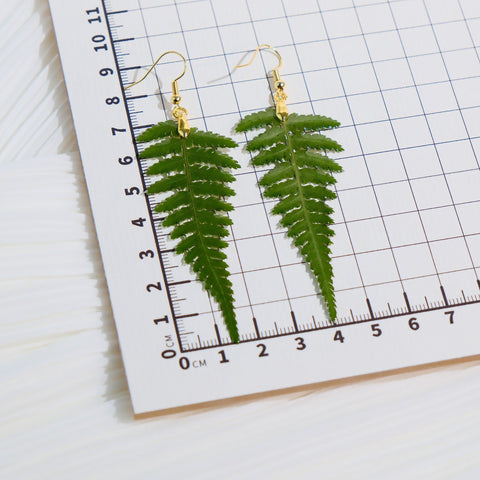 Evergreen Beauty Pressed Real Fern Leaf Resin Earrings