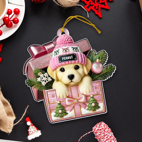 Cute Labrador Dog Inside Gift Box Custom 2D Flat Acrylic Christmas Pet Ornament