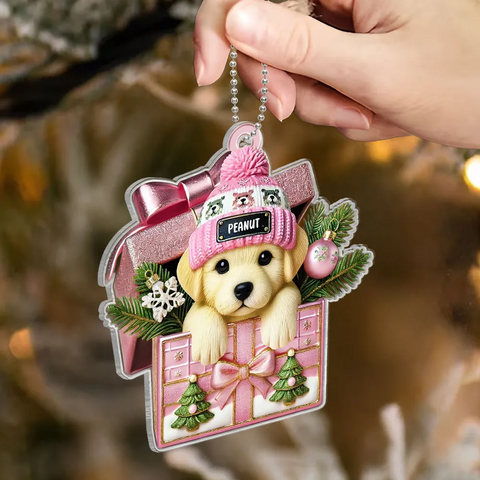 Cute Labrador Dog Inside Gift Box Custom 2D Flat Acrylic Christmas Pet Ornament