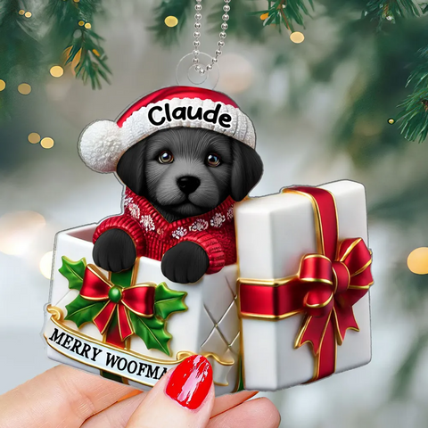 Cute Labrador Dog Inside Gift Box Custom 2D Flat Acrylic Christmas Ornament 2025